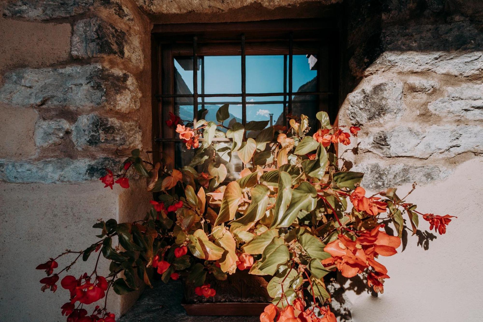 Au Coeur Du Village Chambres D'Hotes & Spa Arnad Exteriér fotografie